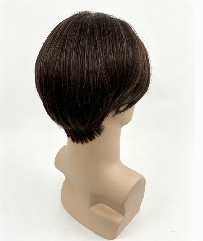 Men Dark Brown Middle Part Short Wig Heat Resistant Synthetic Daily Hair Wig