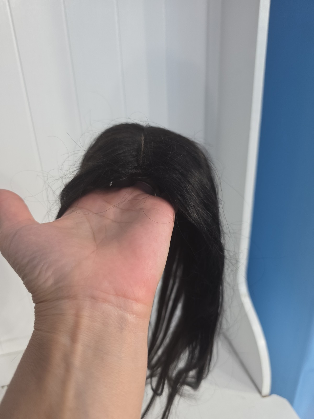 Nwot Clip In 4 Pieces Synthetic 20inch Hair Pieces