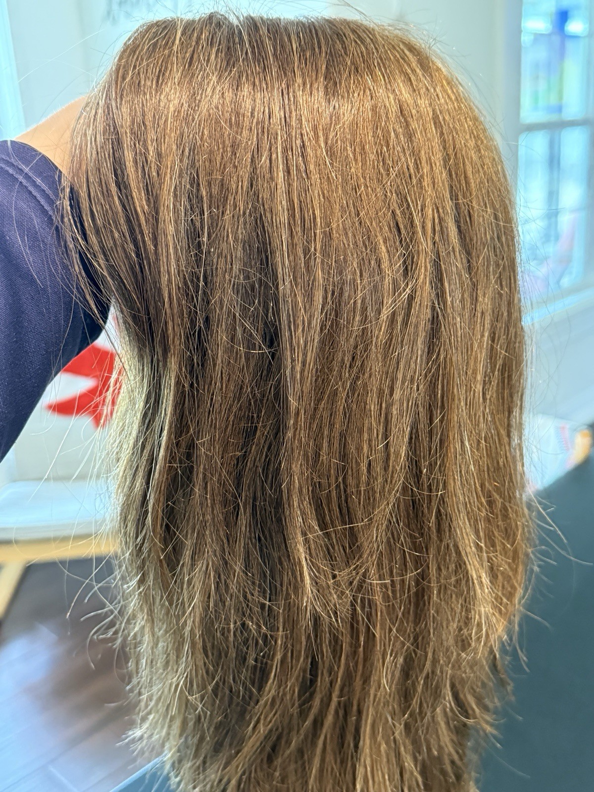 Human Hair Monofilament Wig, Auburn Brown, Layered, Long