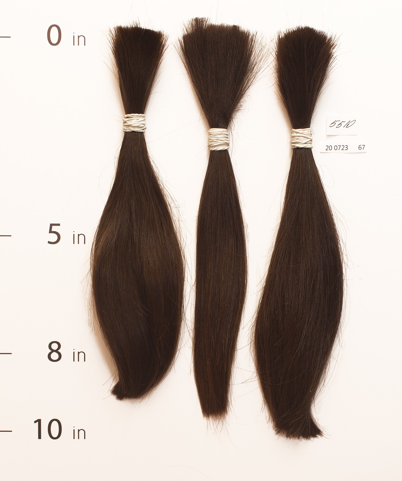 European hair, cut hair, raw hair, Intense Light Brown Pure 8”-10”,virgin