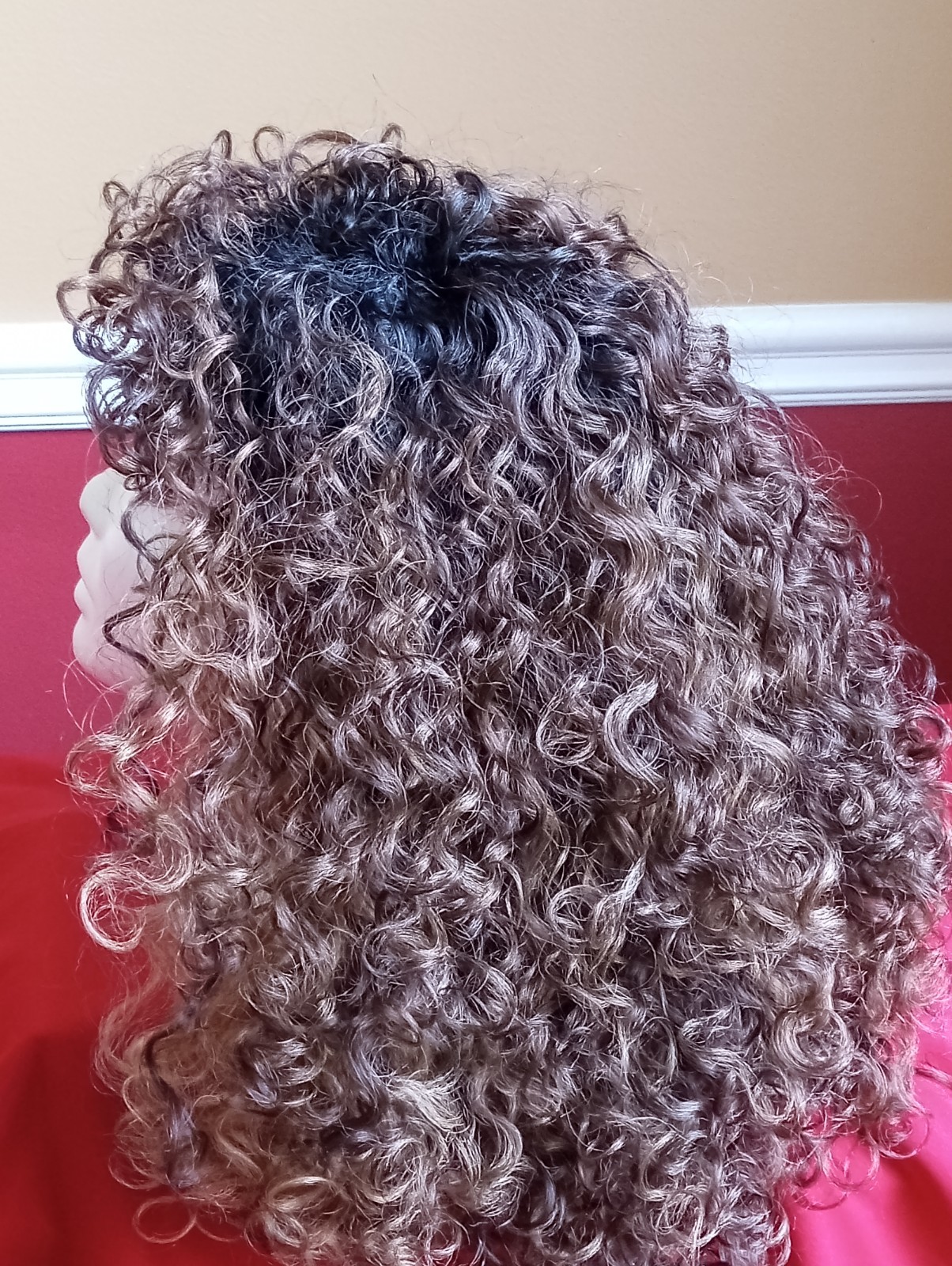 Sensationnel Dashly Full Wig Curly – Unit 27, BALAYAGE SUNKISSED