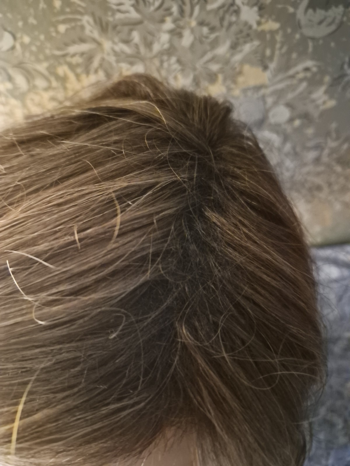 Paula Young Deirdre A2475 Light Brown Wavy Layered Synthetic Wig Classic Cap New