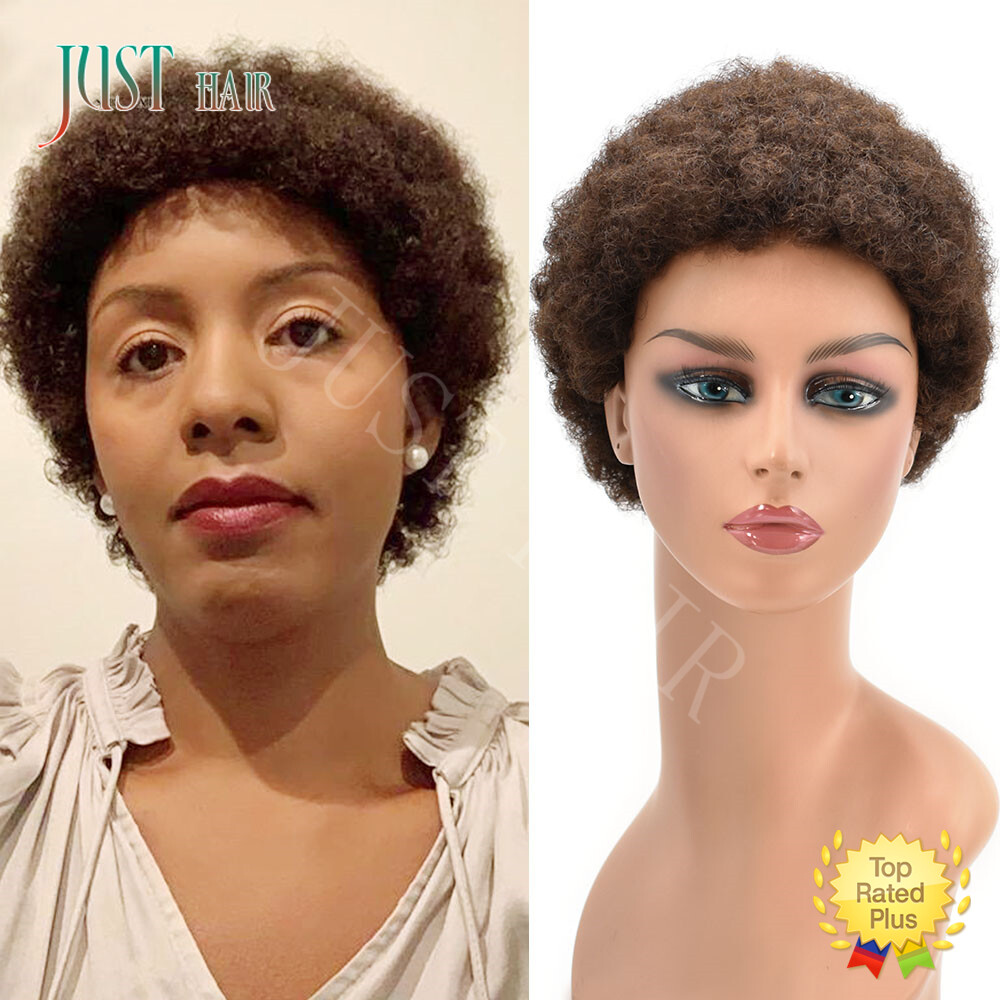 100%Human Hair Wig Short Afro Curly Wigs for Black Women Brazilian Virgin Hair