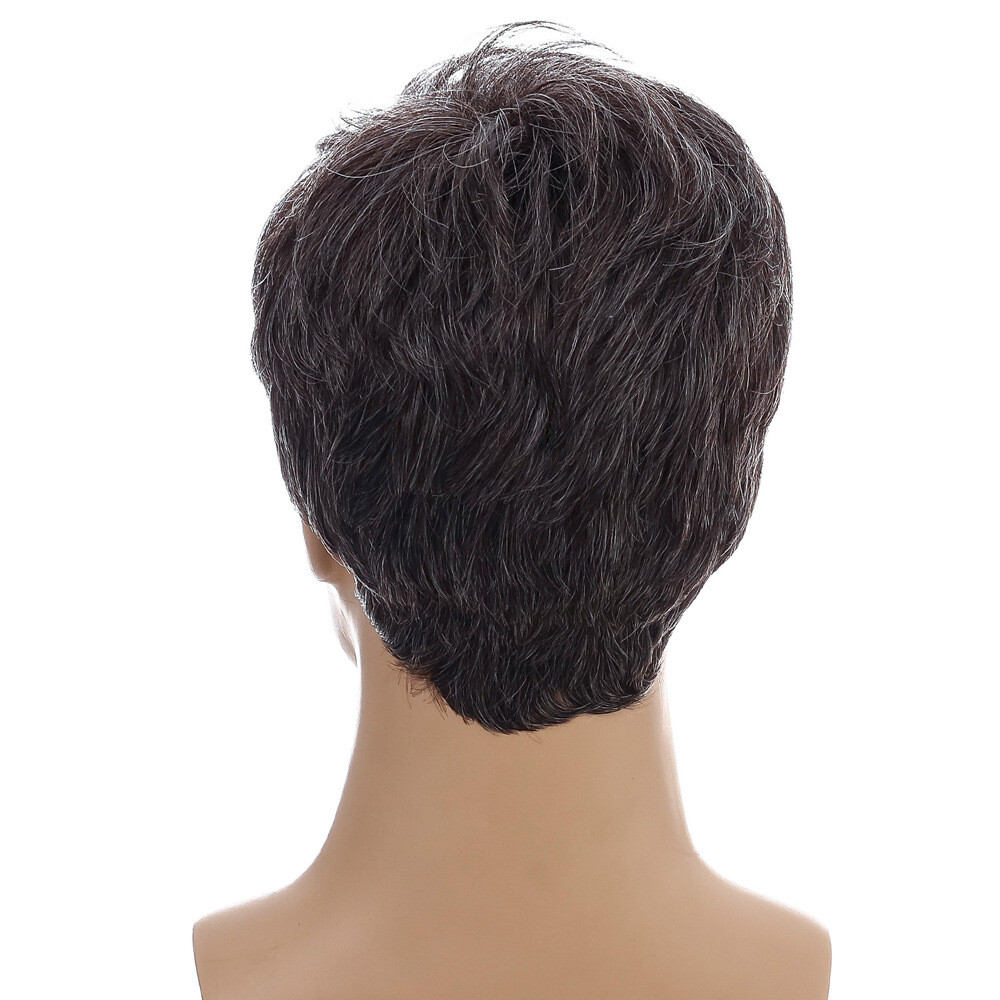 Men Short Black Brown Hair Wigs Synthetic Costume Daily Natural Cosplay Party US