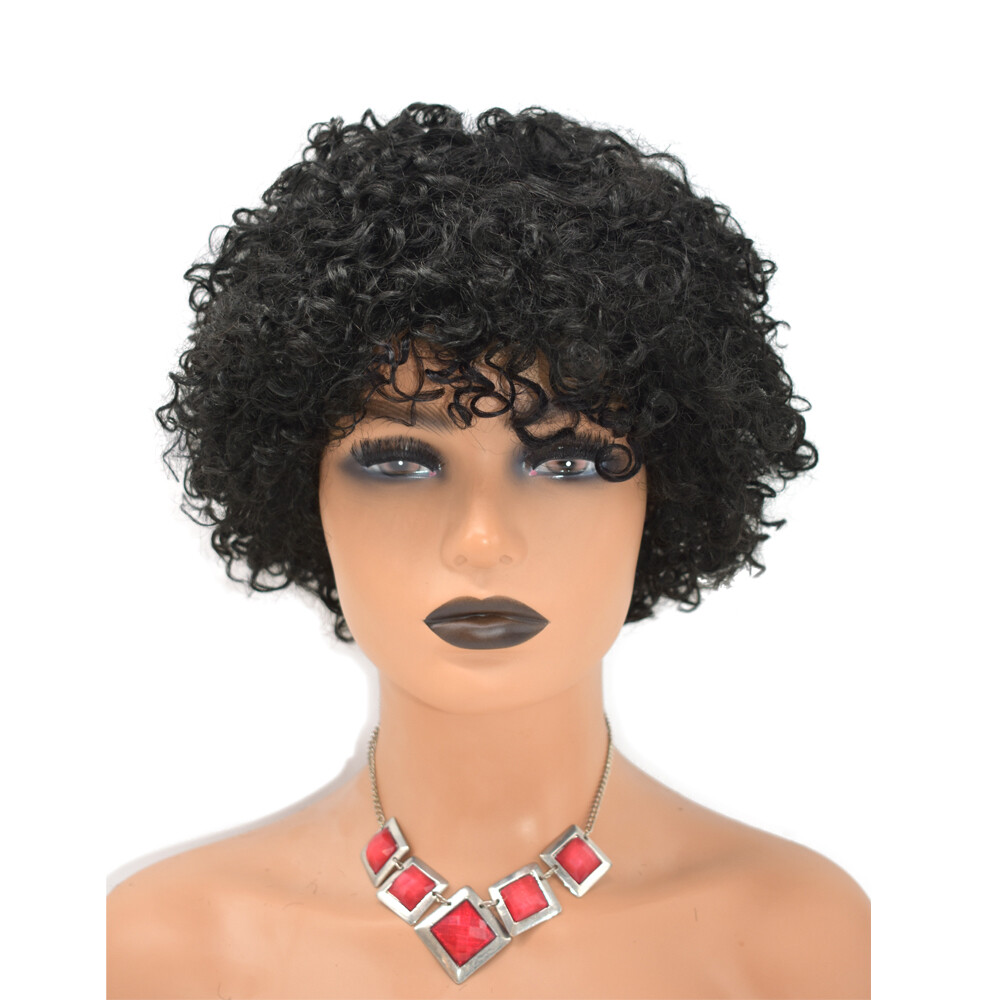 Kinky Curly Afro Wig Short Human Hair Wigs for Black Women Brazilian Natural US