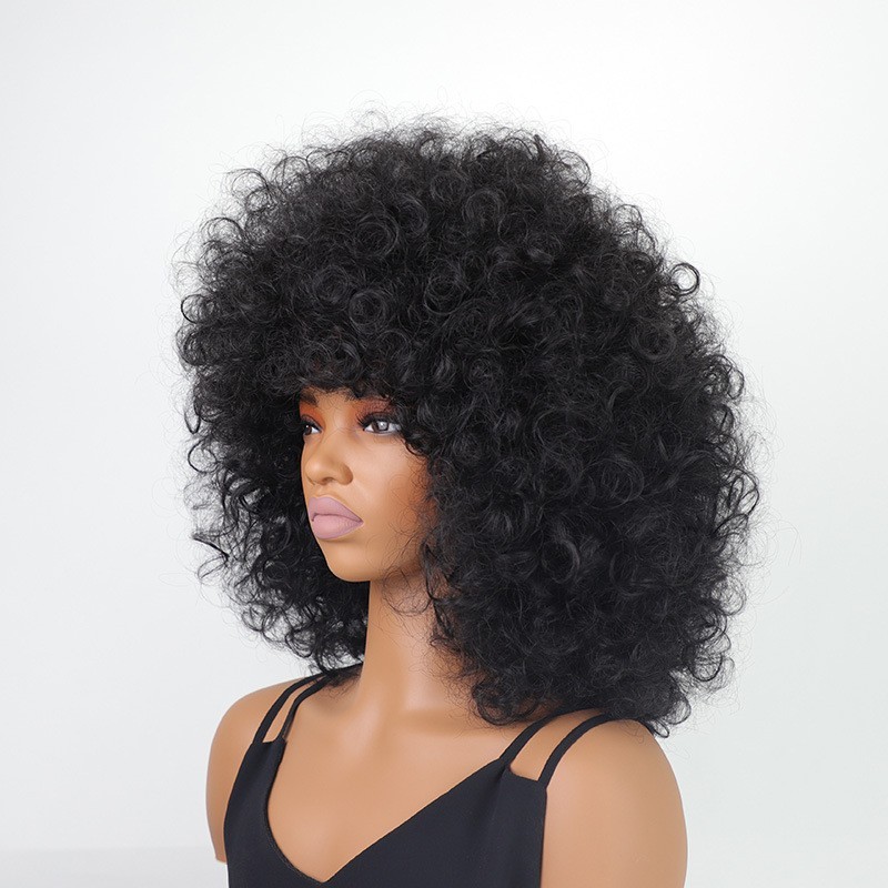 Afro Fluffy Curly Wavy Black Color Synthetic Hair Wig Women Soft Natural Party