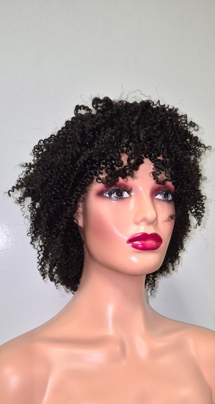 Black Afro Kinky Wig