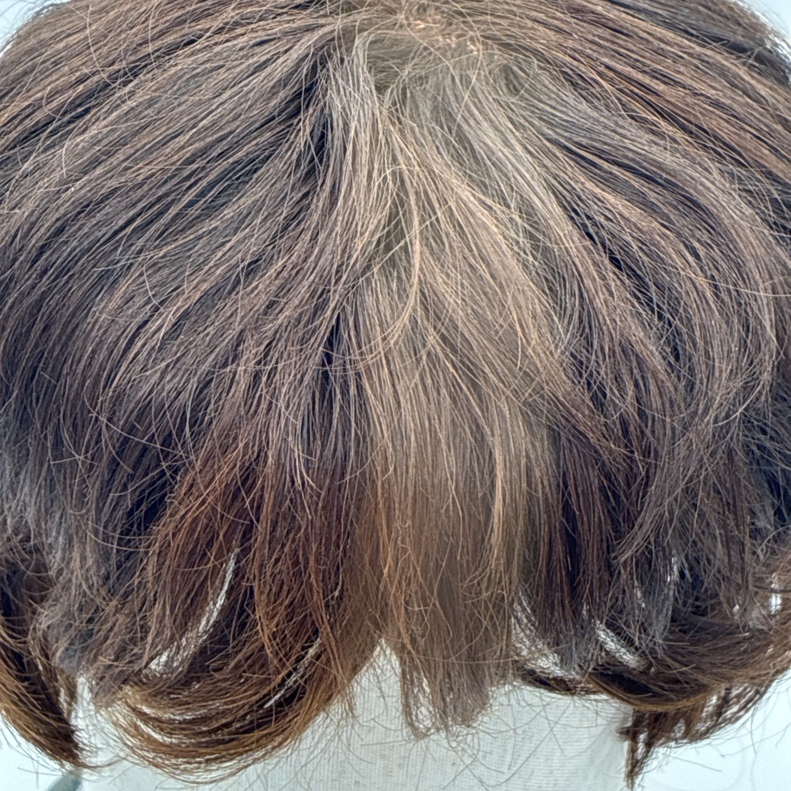 Lot of 2 wigs. One branded Elura. 1 Unbranded