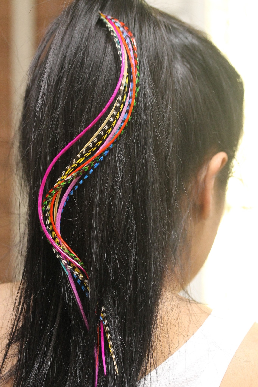 Feather Hair Extension Kit 10 Long Multi Color Genuine Single Feathers