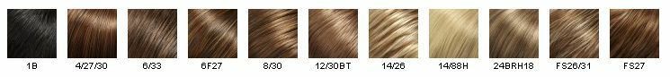 BLAKE REGULAR SMART LACE WIG RENAU *U PICK COLOR NIB