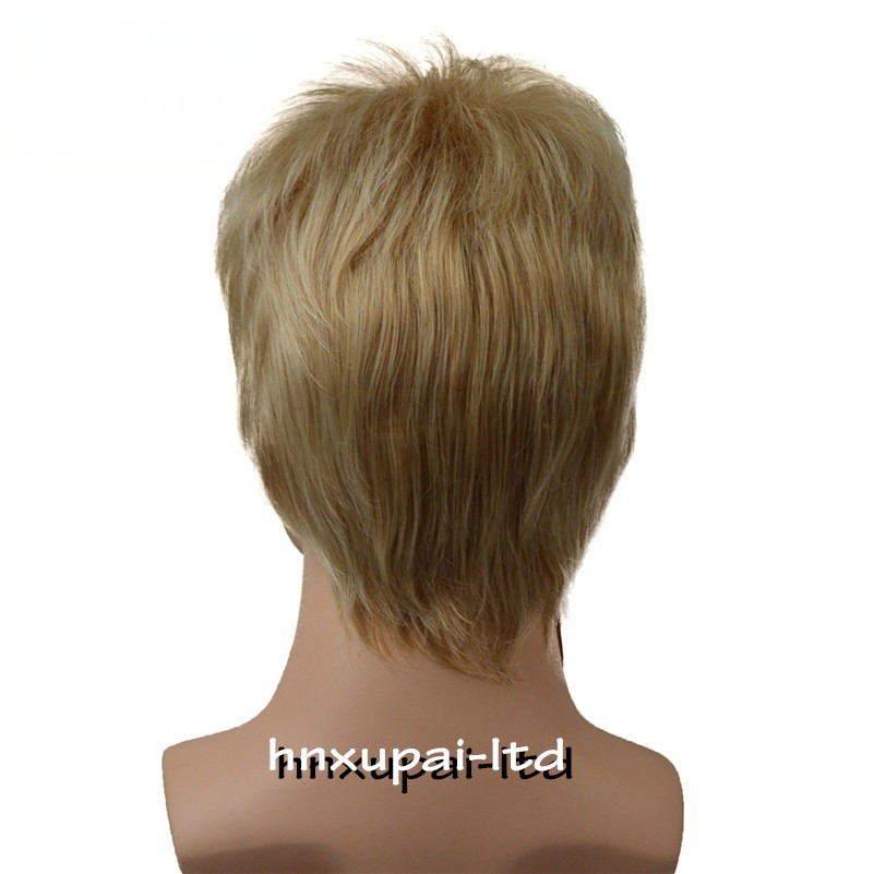 Men Male Brown Mixed Blonde Natural Mid Age Short Wig Straight Synthetic Hair