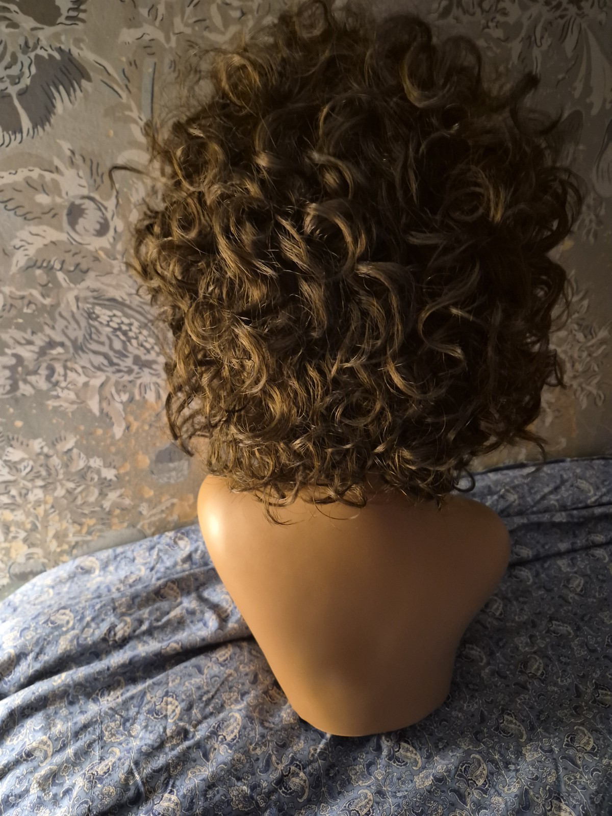 Paula Young CAITLYN 8 Short Curly Layered Synthetic Wig Medium Brown AVG