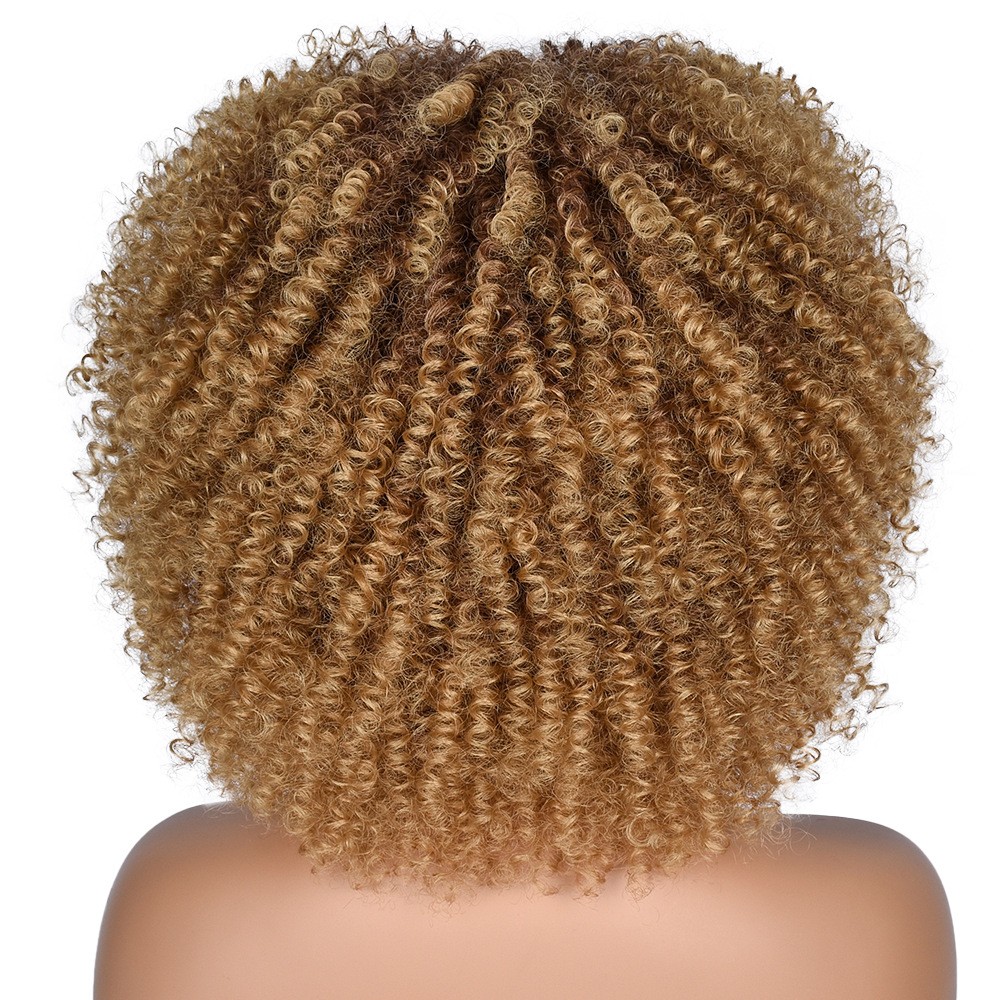 Multi-color Afro Kinky Curly Short Wig Synthetic Full Head Wig For Women