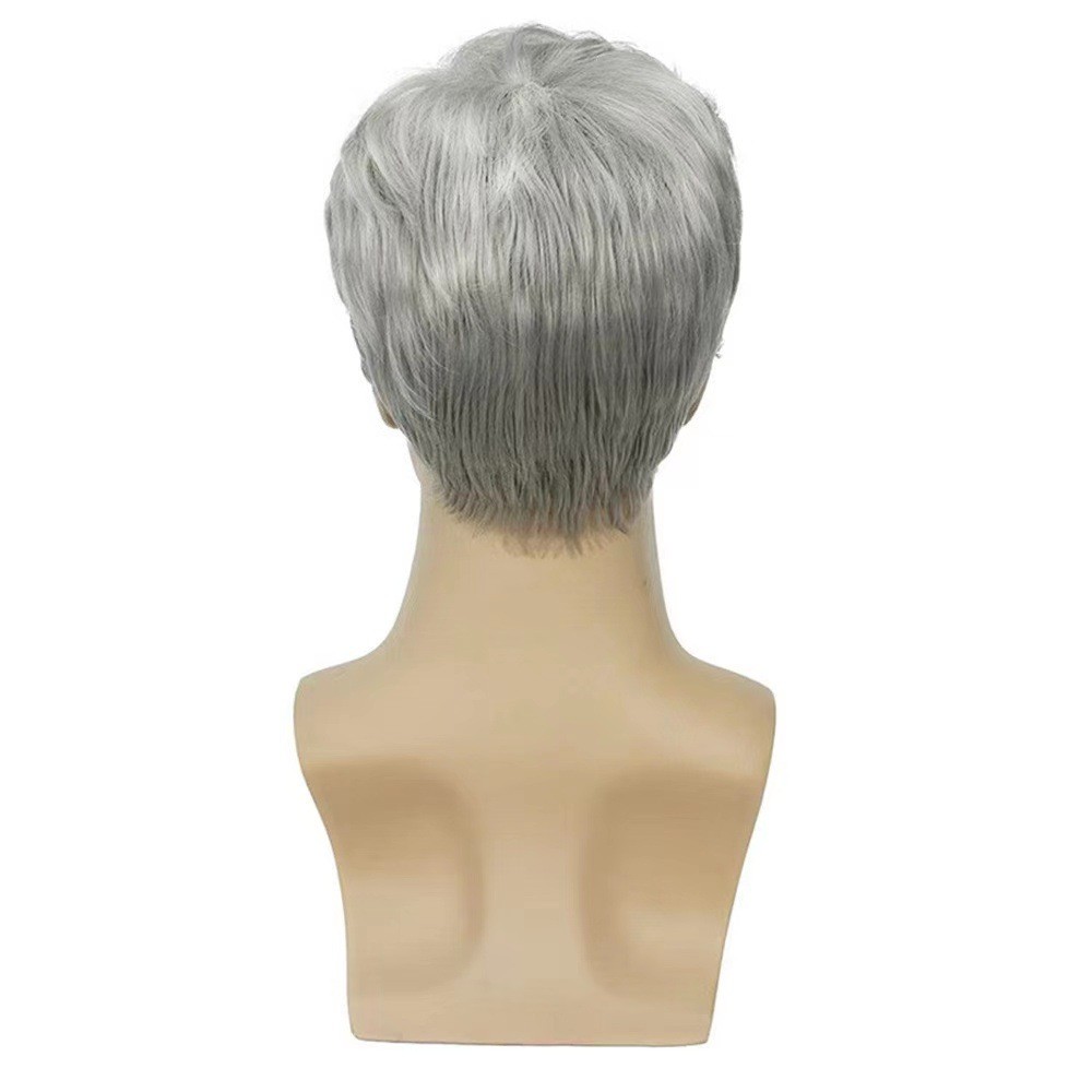 Salt and Pepper Grey Short Fluffy Men Wig Heat Resistant Synthetic Full Wig