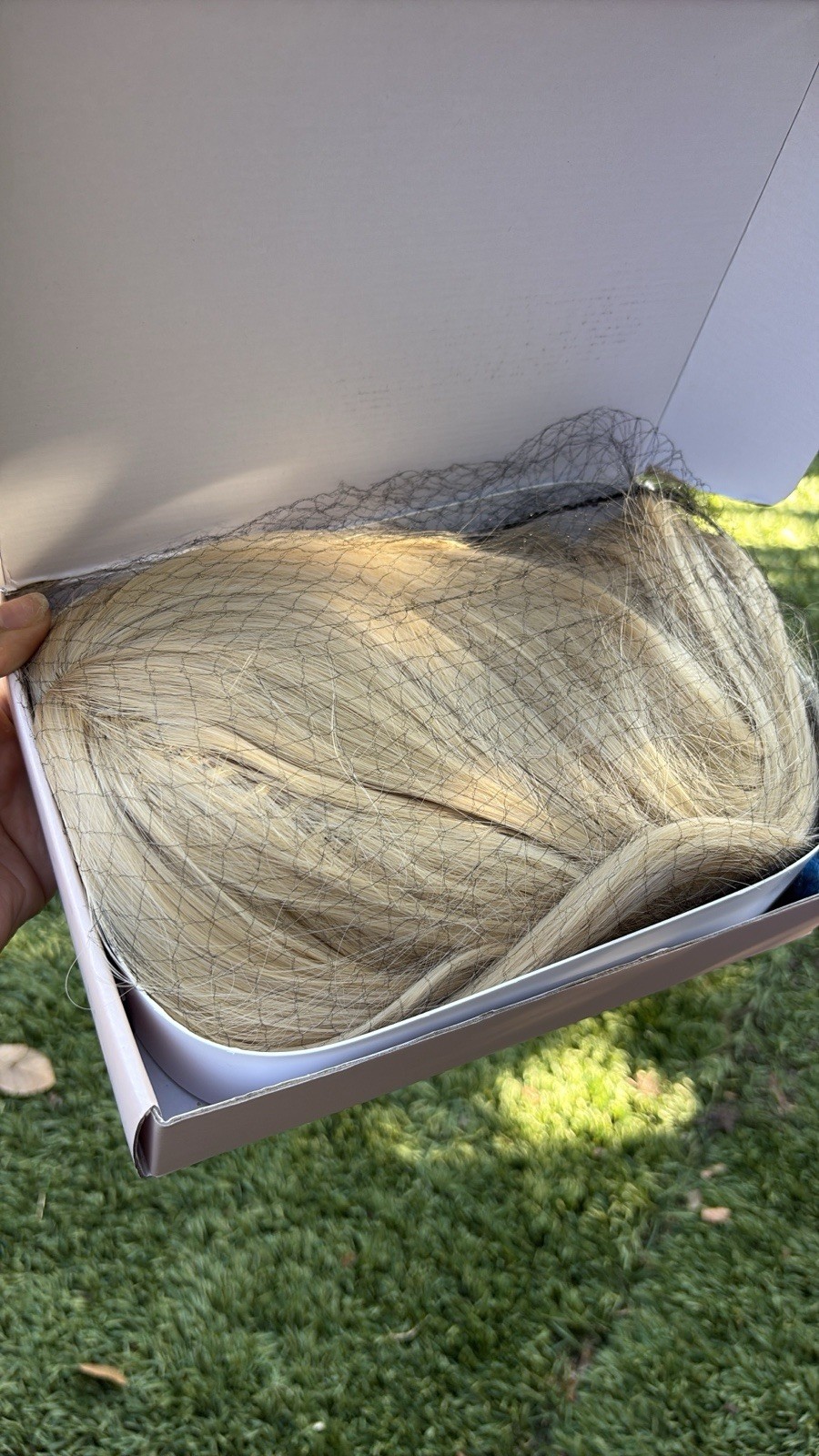 REECHO Light Golden Blonde Full Wig New In The Box Gorgeous Long