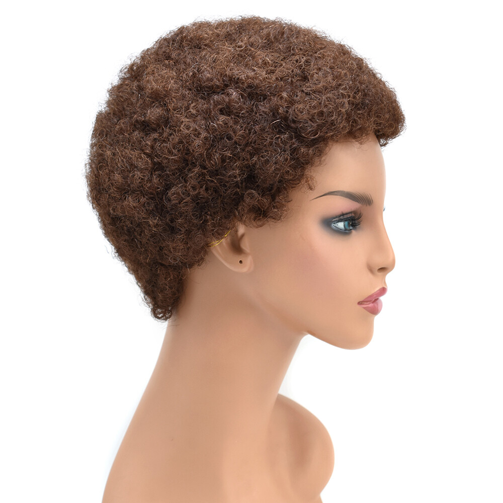 100%Human Hair Wig Short Afro Curly Wigs for Black Women Brazilian Virgin Hair