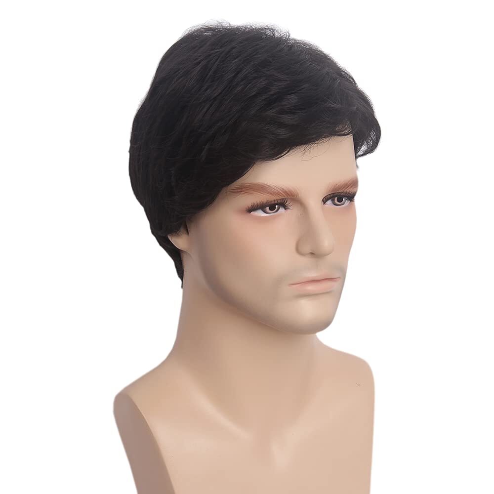 Black Men Wig Short Wigs for Mens Straight Little Wavy Synthetic Layer Hair US