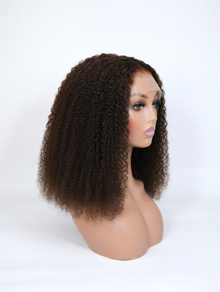 5*5 HD Lace Closure Wig Human Hair Kinky Curly Glueless Pre Pluked 200% natural