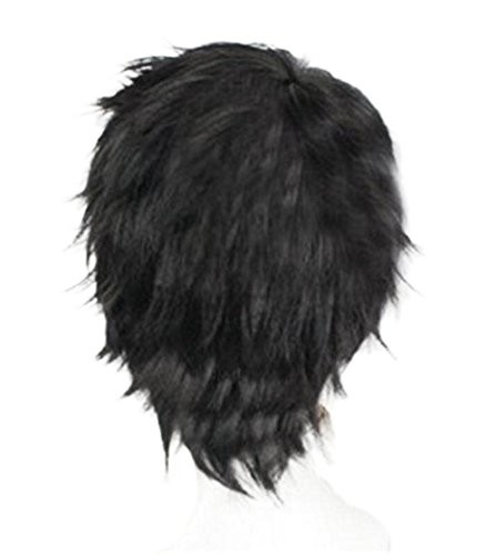 Short Black Men Fluffy Straight Cosplay Heat Resistant Halloween Wig