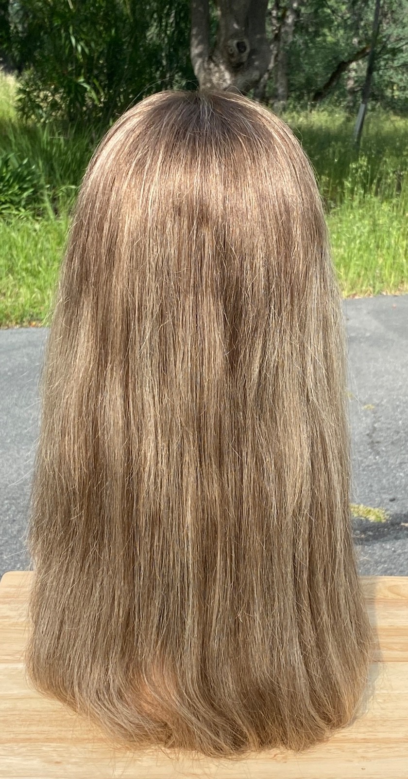 PREOWNED WIGSHE CUSTOM COLOR BROWN BLONDE HUMAN HAIR WIG . SIZE SMALL