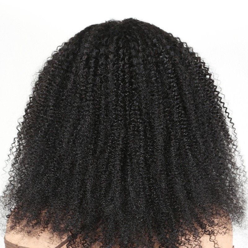 Afro Kinky Curly Human Hair Wig for Black Women 13X4T Lace Front Wigs Side Part