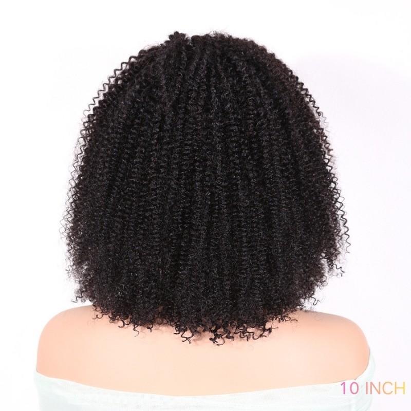 Afro Kinky Curly Human Hair Wig for Black Women 13X4T Lace Front Wigs Side Part