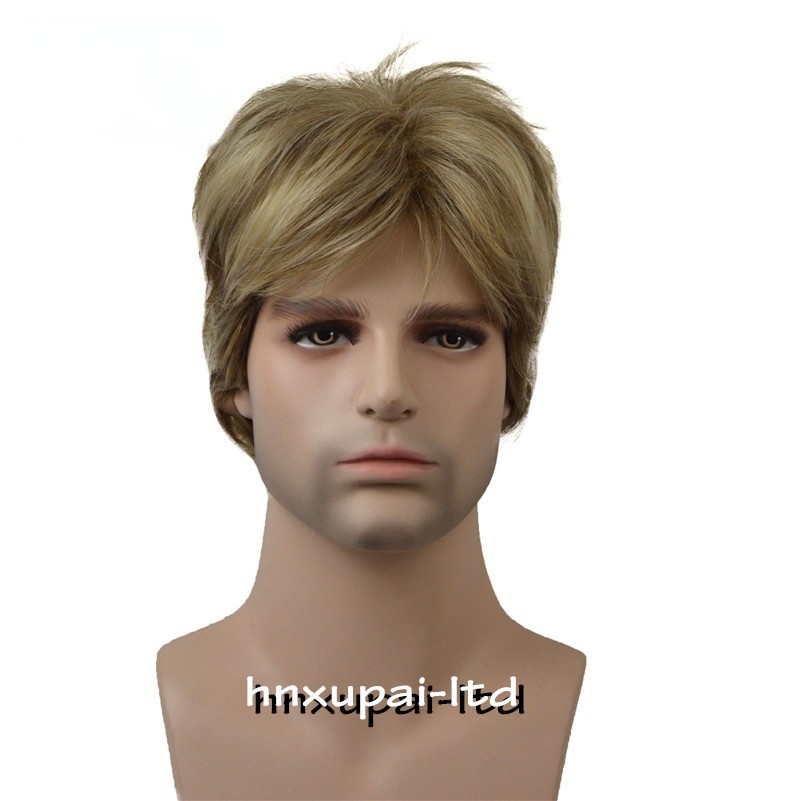 Men Male Brown Mixed Blonde Natural Mid Age Short Wig Straight Synthetic Hair