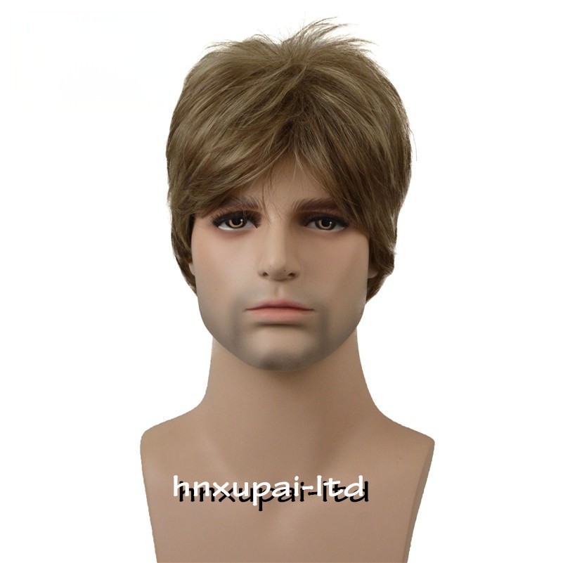 Men Male Brown Mixed Blonde Natural Mid Age Short Wig Straight Synthetic Hair