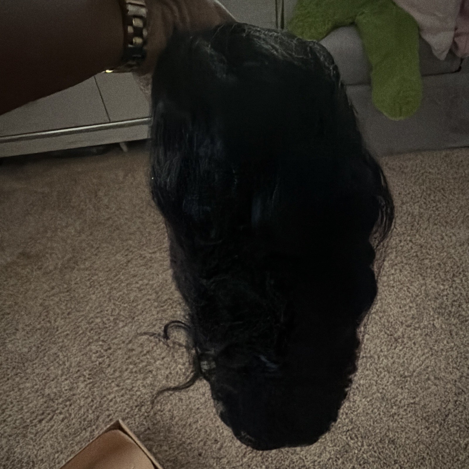 It Tress Lace Part Wig Brazilian Virgin Remy Human Hair Black BH-MOLLY