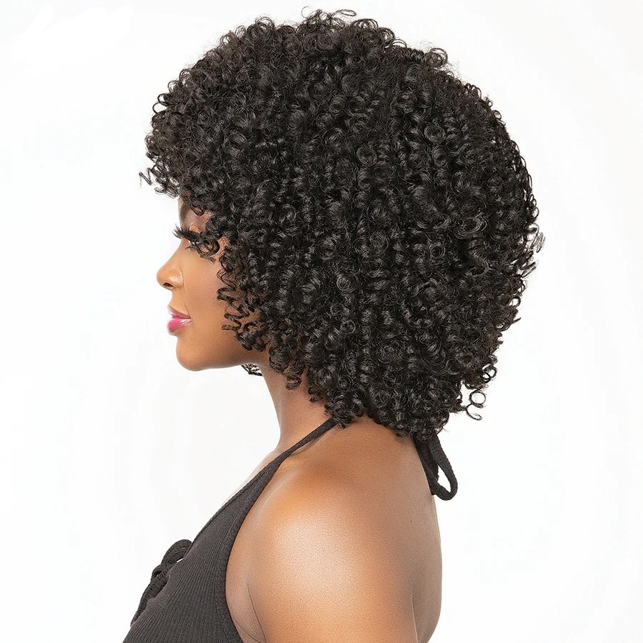 Janet Collection Natural Curly Premium Synthetic Fiber Wig – AFRO GLYN