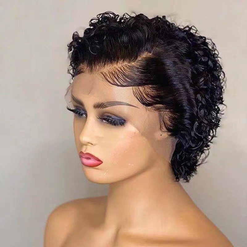 Multi-color Small Curly Lace Front Wig for Women Synthetic Natural Full Head