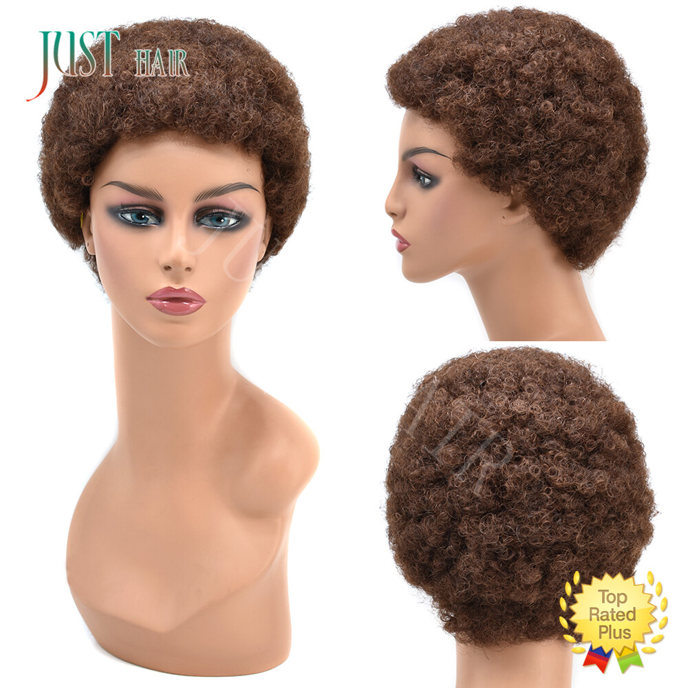 100%Human Hair Wig Short Afro Curly Wigs for Black Women Brazilian Virgin Hair