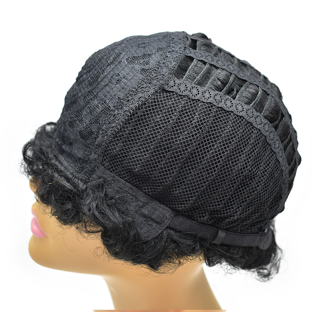 100%Human Hair Wig Short Afro Curly Wigs for Black Women Brazilian Virgin Hair
