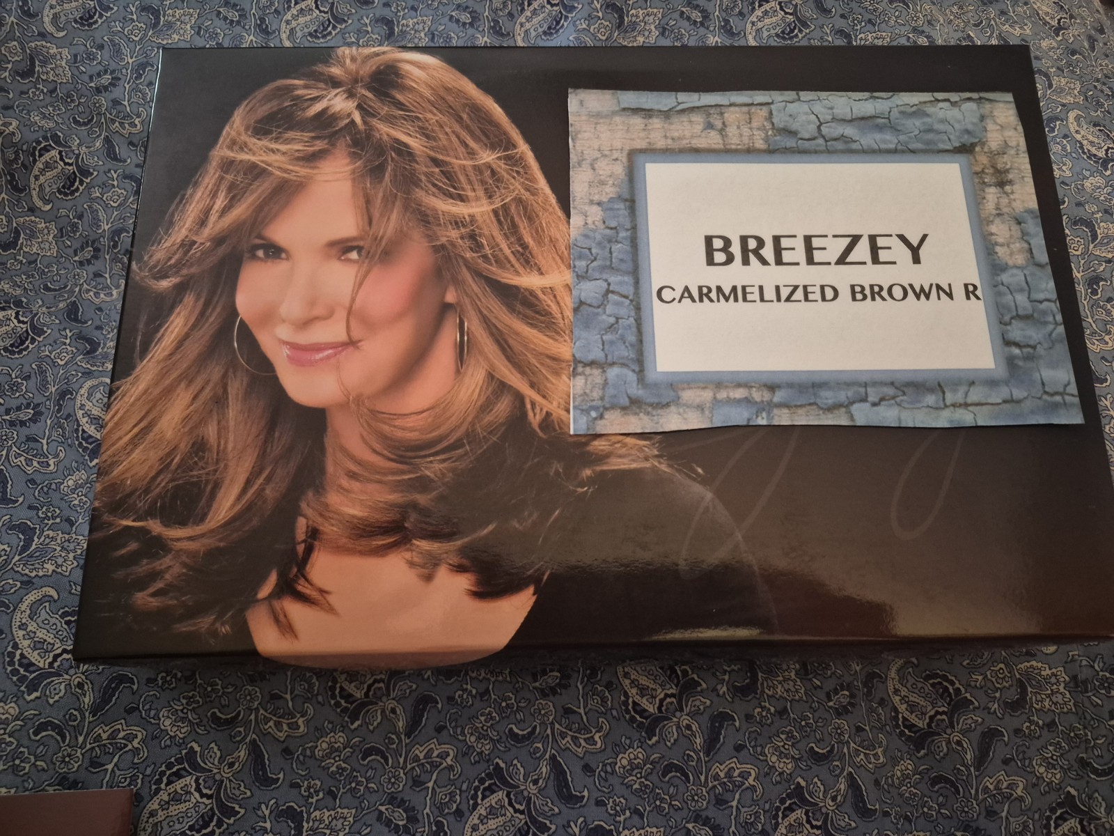 Style by Jaclyn Smith Brezzey SHAG Synthetic Wig Layered Straight Classic Cap