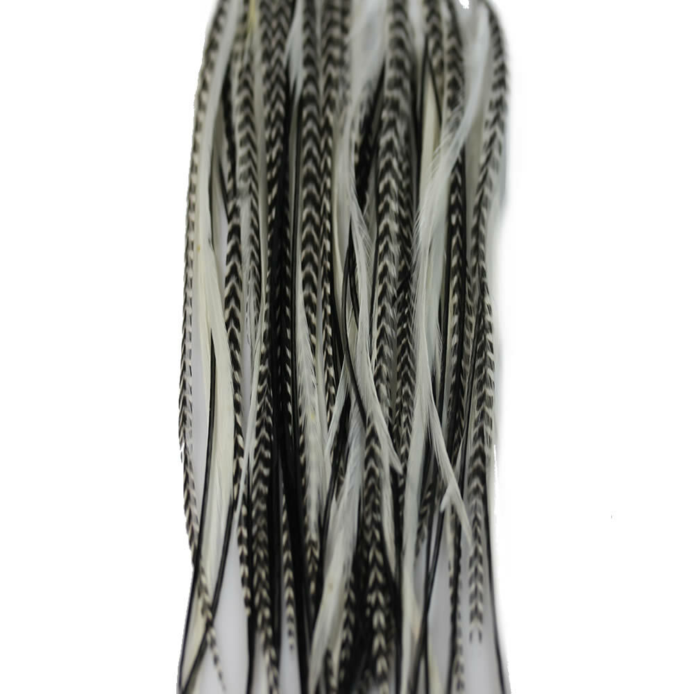 Hair feather extensions long whiting grizzly rooster extension