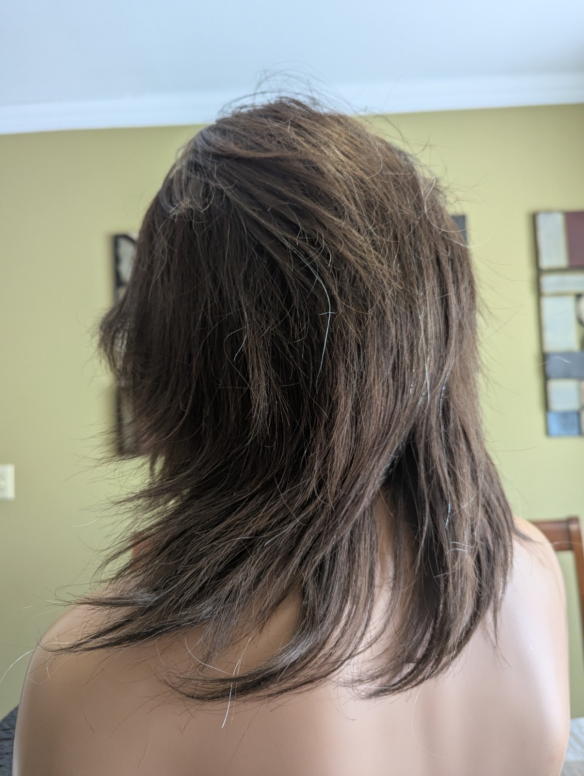 New Custom Made Full Virgin Hair Medical Wig 180% Density Chestnut Brown W/Grey