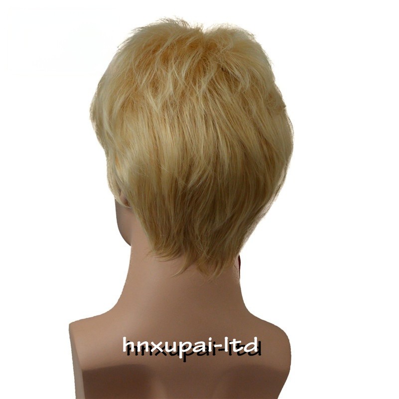 Men Male Brown Mixed Blonde Natural Mid Age Short Wig Straight Synthetic Hair