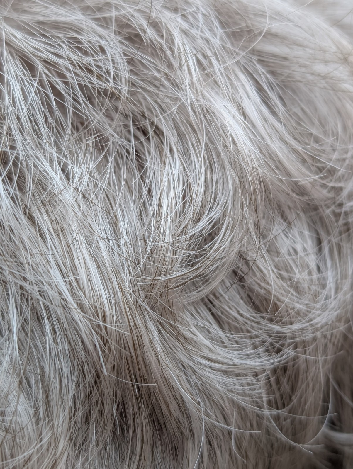 Short Wavy Pixie Wig Silver Gray Ash Blonde Layered Synthetic Avg Fashion Club