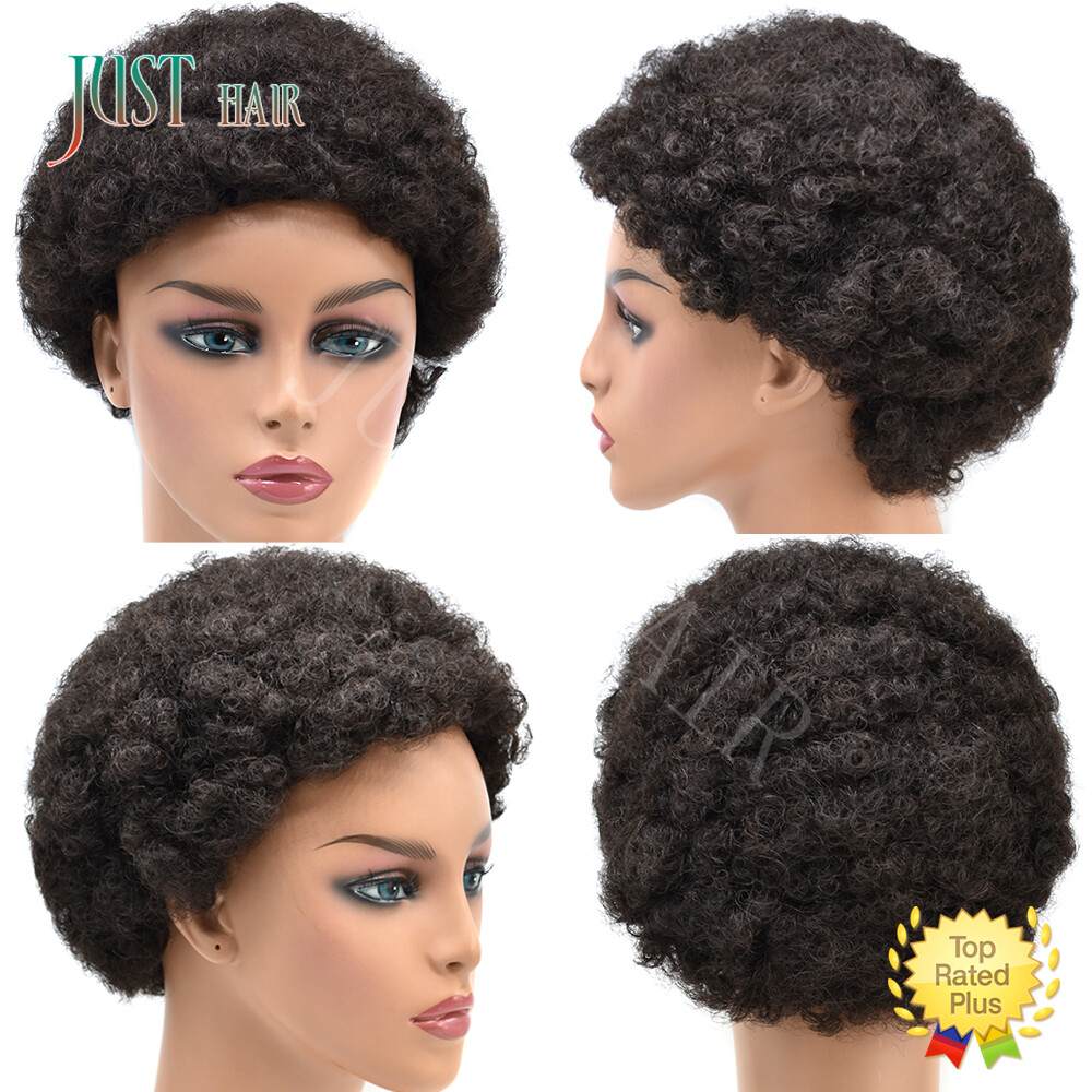 100%Human Hair Wig Short Afro Curly Wigs for Black Women Brazilian Virgin Hair