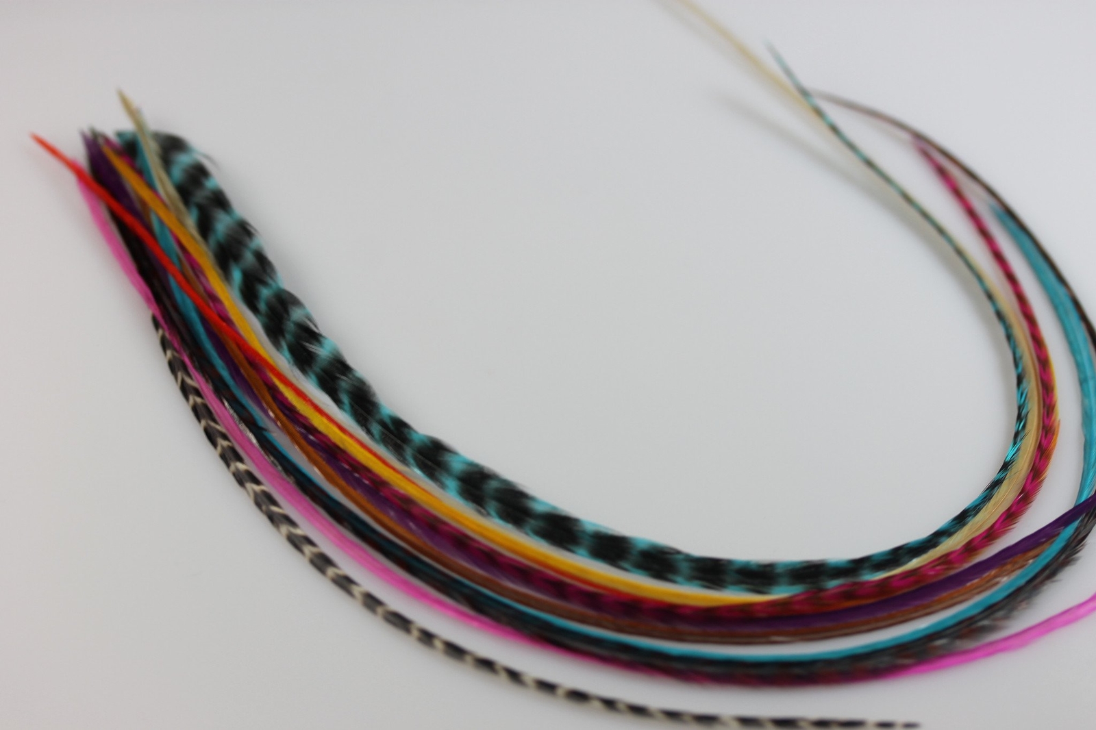 Feather Hair Extension Kit 10 Long Multi Color Genuine Single Feathers