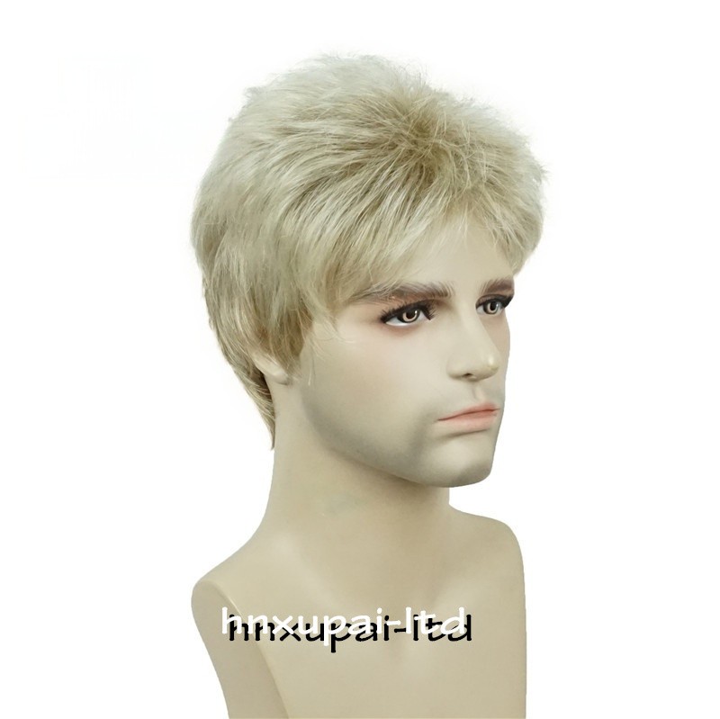Men’s Black Men Wig Short Full Wigs Little Wavy Synthetic Straight Hair Daily US