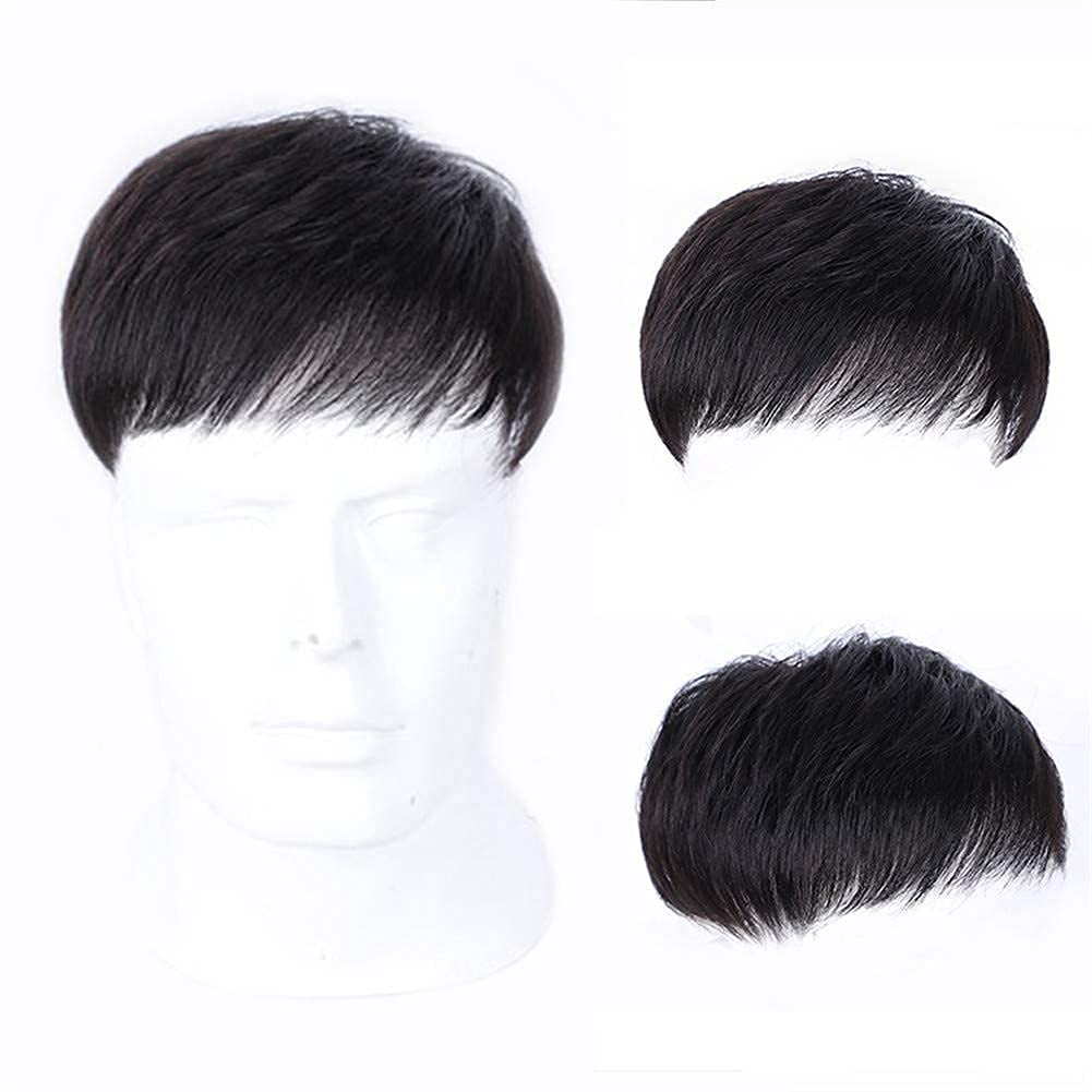 Straight Short Black Wigs Hair Pieces Short Wig w/ Bangs Clip-On Wig for Men USA