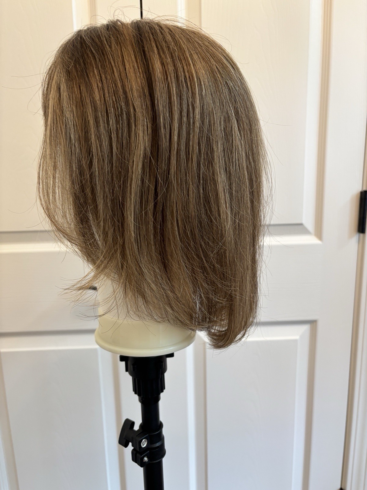 Lauren Ashtyn Adele 12” custom color. 100% European Remi hair. Good condition.
