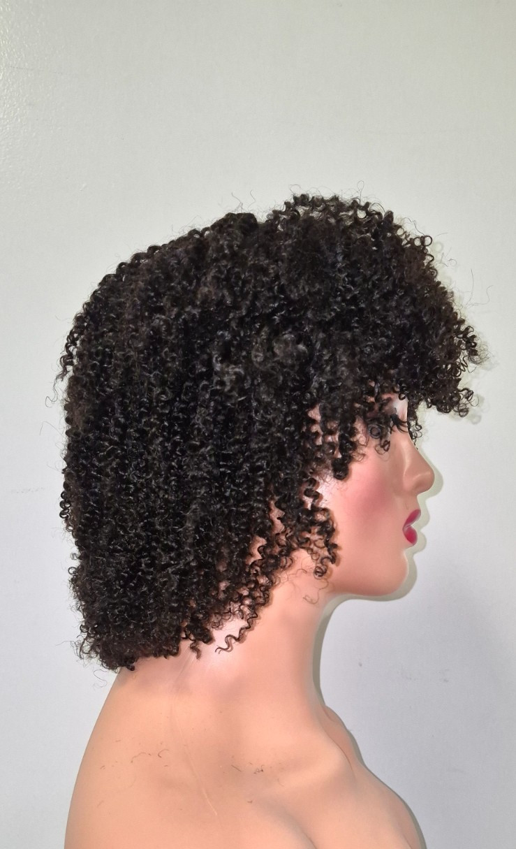 Black Afro Kinky Wig