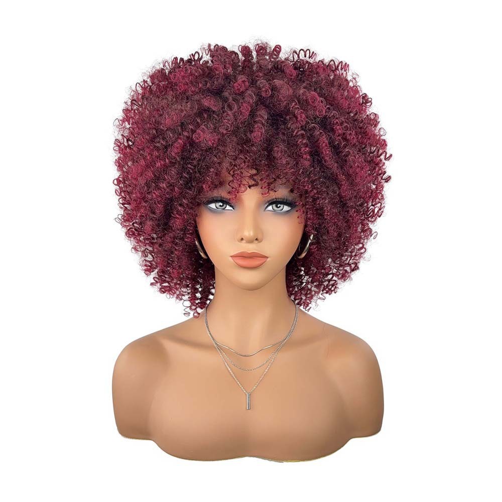 Multi-color Fluffy Natural Afro Kinky Curly High Temperature Synthetic Wig for