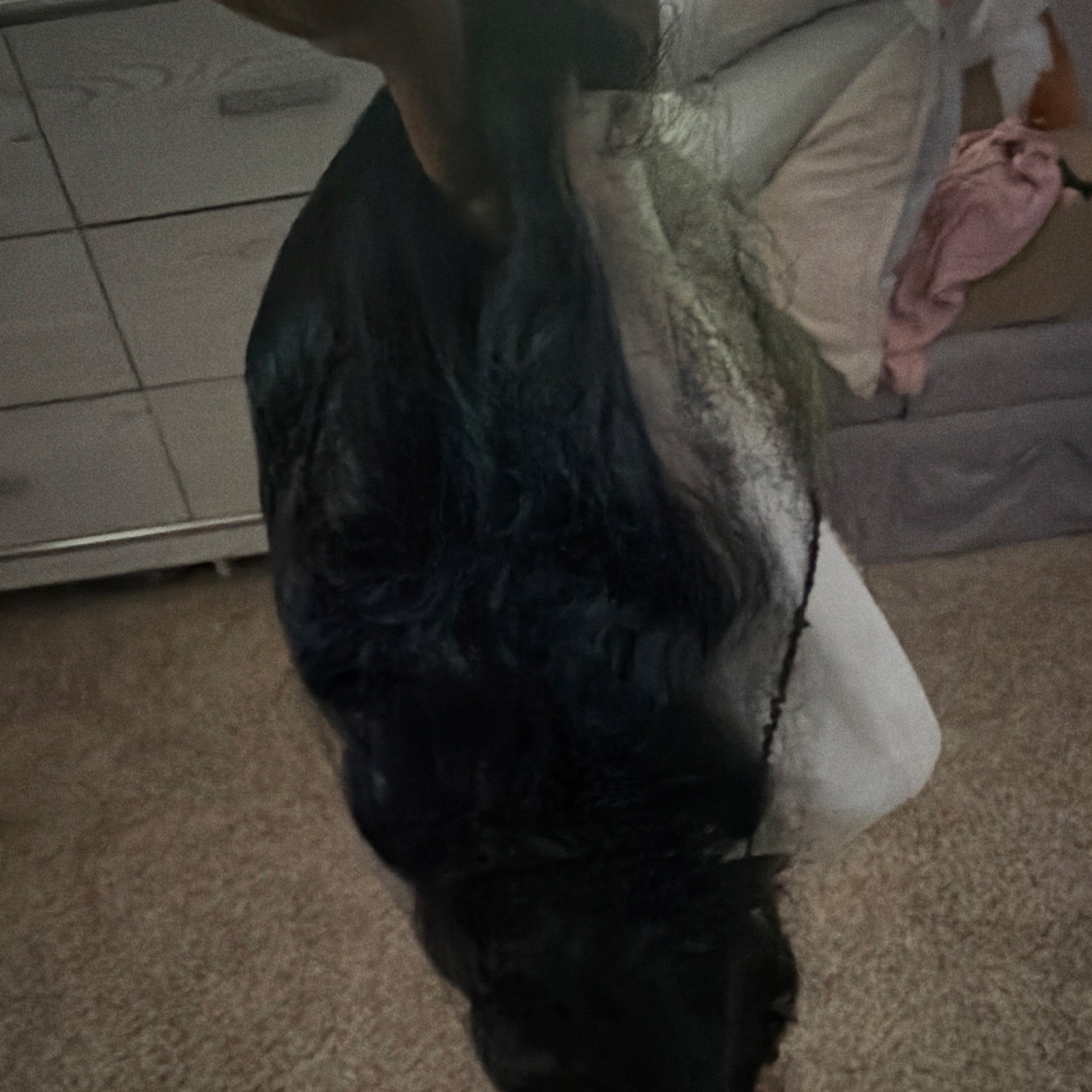 It Tress Lace Part Wig Brazilian Virgin Remy Human Hair Black BH-MOLLY