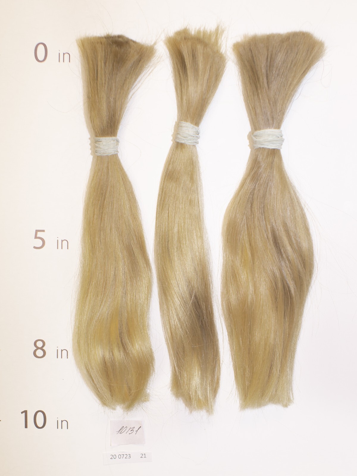 European hair, cut hair, raw hair, Lightest Blonde/Gold Ash Pure 8”-10”,virgin