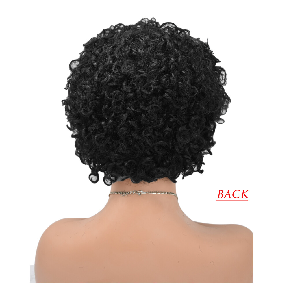 Kinky Curly Afro Wig Short Human Hair Wigs for Black Women Brazilian Natural US
