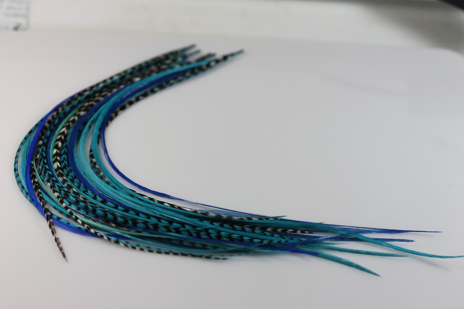 7-10 in Length 5 Beautiful Ocean Blue Feathers Bonded At the Tip for Hair Extens