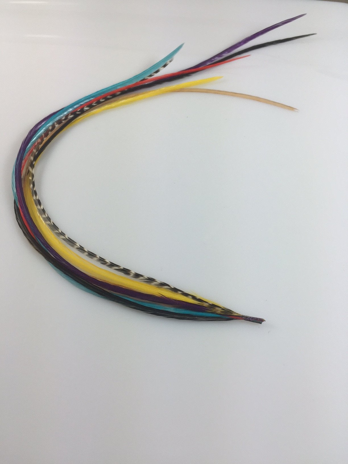 7-10 in Length 8 Beautiful Happy Rainbow Mix Feathers Bonded At the Tip for Hair